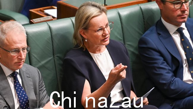 自由党副党魁苏珊·莱伊 (Sussan Ley) 告诉 SkyNews.com.au,针对选区办事处的攻击“完全不可接受”,需要采取更强有力的应对措施来“彻底消除这种行为”。图片:NCA NewsWire / Martin Ollman