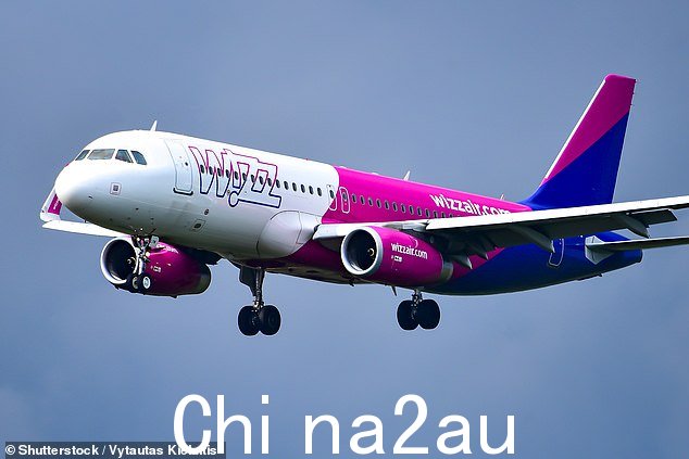 在一项客户服务研究中,Which?透露,在 Wizz Air 网站上以及通过 Google 搜索时,联系电话号码“最明显”“每分钟收费高达 1.45 英镑”。 class=