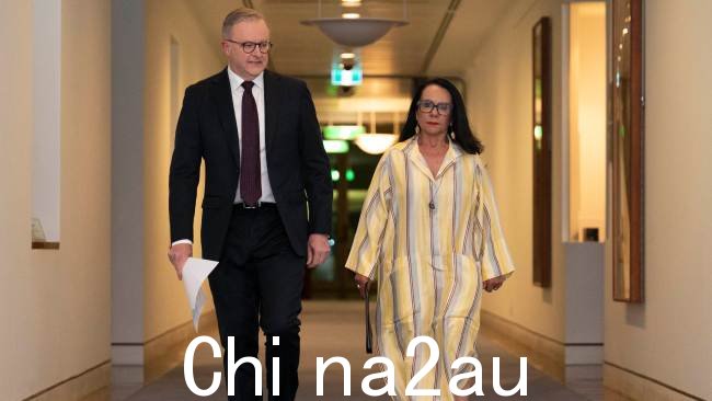 Warren Mundine 表示他对阿尔巴尼亚政府“完全厌恶””,并补充说很明显他们“没有 b 计划”去年议会之声失败后的原住民政策。图片:NCA NewsWire / Martin Ollman