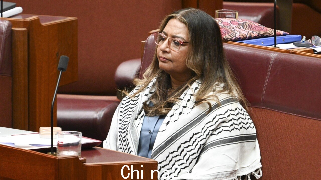 '可耻' :Mehreen Faruqi “未能”说哈马斯应该被解散” fetchpriority=