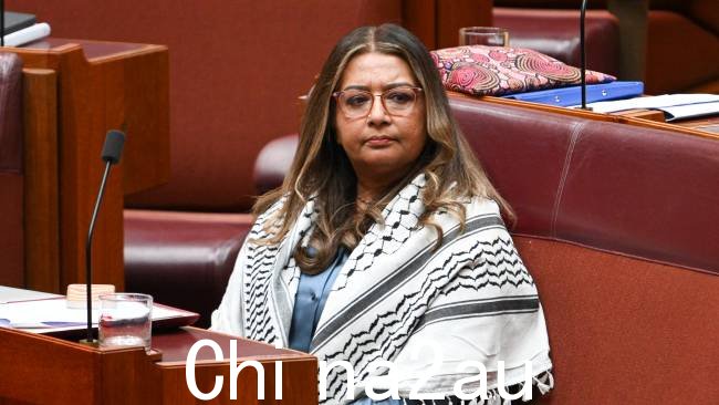 绿党参议员 Mehreen Faruqi 要求《澳大利亚人报》就一部她声称“明显种族主义”的漫画道歉并支付数千澳元的法律费用。 图片:NCA NewsWire / Martin Oldman