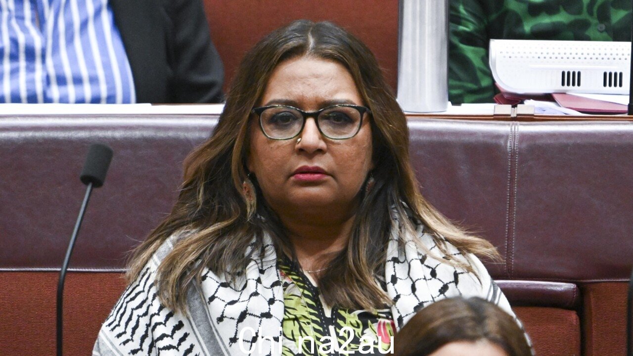 '这是第一个我’:漫画家回应 Mehreen Faruqi 的法律威胁” fetchpriority=