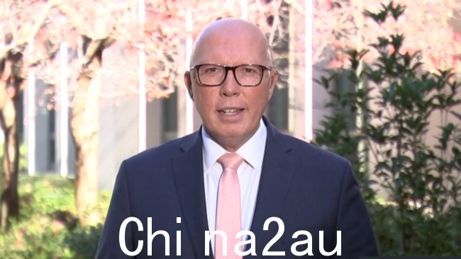 Peter Dutton 的联盟已取得进展阿尔巴尼亚政府在最新的淡水战略民意调查中的表现。图片:澳大利亚天空新闻。