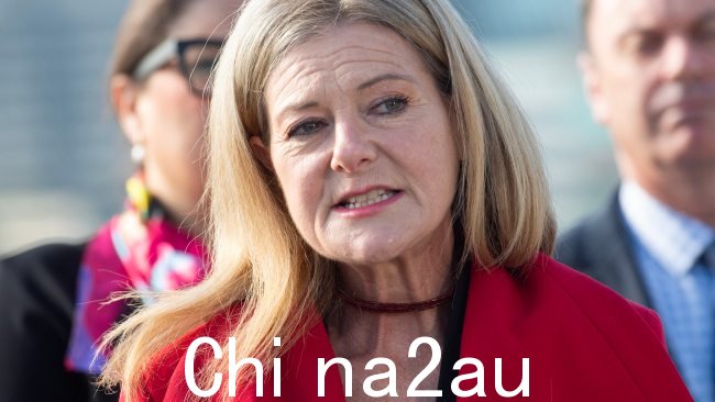 索尼娅·基尔肯尼 (Sonya Kilkenny) 表示,作为卡鲁姆议员,她之前曾了解到针对 CFMEU 的指控。图片:NCA Newswire / Nicki Connolly