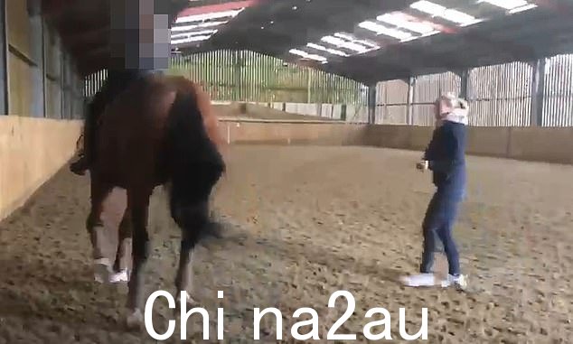 镜头显示她在尝试教马“piaffe”时用鞭子多次击打马