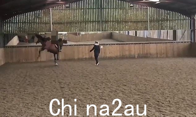 可以看到,这匹马在被夏洛特·杜雅尔丁鞭打后似乎出现了反弹