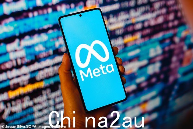 尽管经历了几年的坎坷,Facebook 所有者 Meta 仍成功赢得了市政府和华尔街的信心