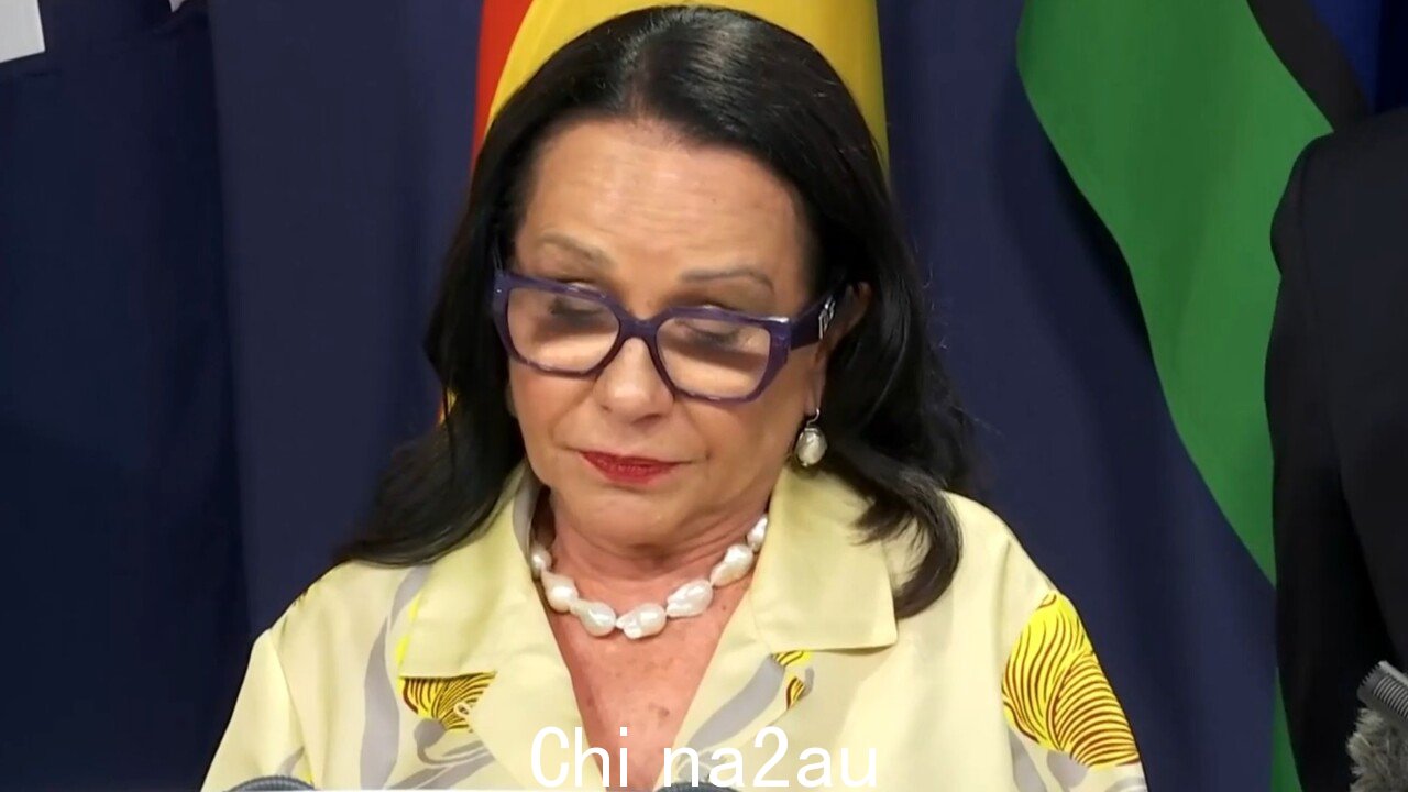 '时间传递接力棒':琳达·伯尼 (Linda Burney) 就退休公告发表激动人心的演讲