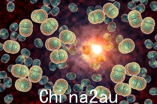 Tiana 大脑中的严重脑膜炎感染是由 b 型脑膜炎球菌引起的(如图)