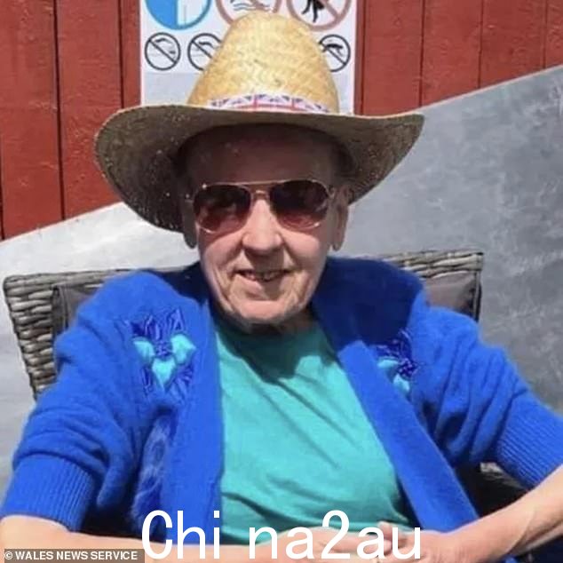 最初有四人因雪莉(如图)死亡而被捕,但没有受到任何指控,因为这只狗以前没有暴力记录