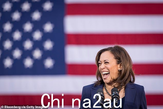 卡玛拉被描绘成神奇女侠,即使在那些迄今为止从未评价过她的民主党人中也是如此