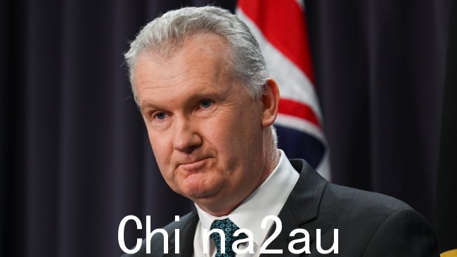 总理为新任命的移民部长托尼·伯克(Tony Burke)辩护。图片:NewsWire/Martin Ollman