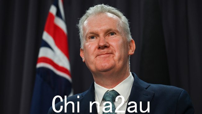 新任命的移民部长托尼·伯克在为阿尔巴尼亚政府处理澳大利亚边境的方式辩护的同时,猛烈抨击了“愚蠢”的批评者。图片:NewsWire/Martin Ollman