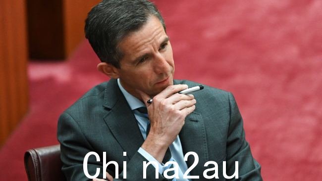 参议员西蒙·伯明翰在堪培拉议会大厦参议院的质询时间。图片:NCA NewsWire / Martin Ollman