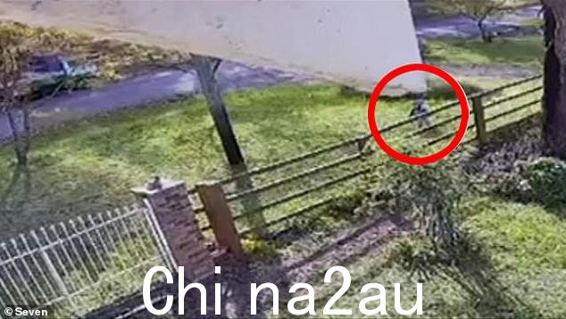 CCTV 显示 Xavier 离开家寻找袋鼠
