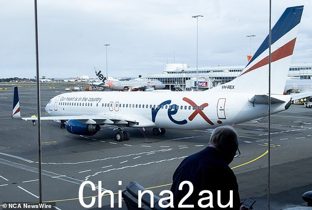 雷克斯航空已进入自愿托管,并暂停主要机场之间的所有航班