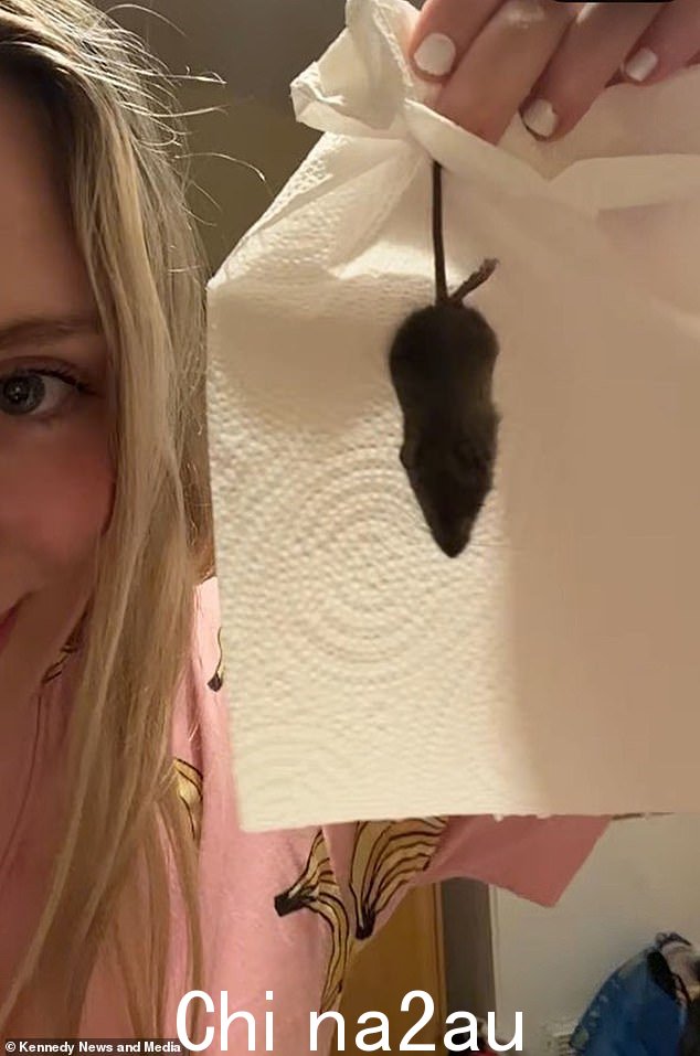 克洛伊(如图)用厨房卷纸把死老鼠从她的房间里舀起来并移走,说她'不知道如何处理它'