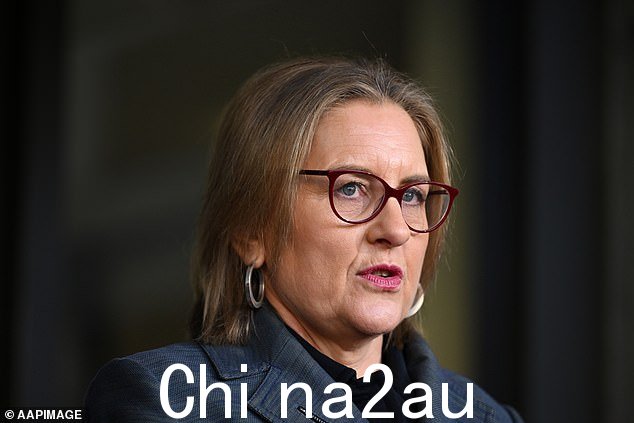 维多利亚州州长 Jacinta Allan 表示,她不会改变对公务员及其在家办公安排的立场