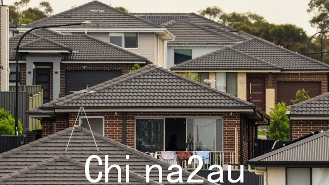 大学游说者对国际学生数量直接影响的建议进行了反击。链接到住房危机。图片:Jenny Evans/Getty Images