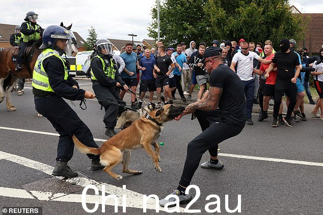 绍斯波特刺伤事件后的骚乱期间,一只警犬在罗瑟勒姆对付一名抗议者