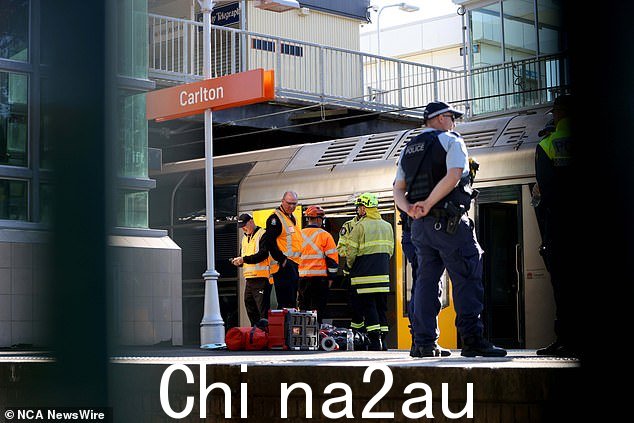 新南威尔士州警察局长保罗·邓斯坦 (Paul Dunstan) 表示,警方正在调查导致婴儿车滚动的原因,并表示可能只是一阵风而已