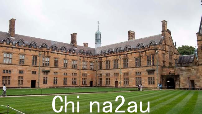 学生投票不谴责后,悉尼大学在社交媒体上引起了国际轰动哈马斯于 10 月 7 日对以色列犯下暴行。图片:NewsWire / Simon Bullard。