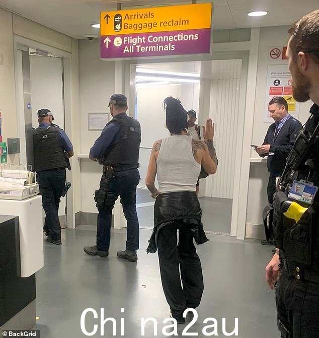 凯蒂·普莱斯昨晚从土耳其返回英国后在希思罗机场被捕