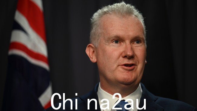 Tony Burke 最近被任命监督内政事务。图片:NCA NewsWire / Martin Ollman