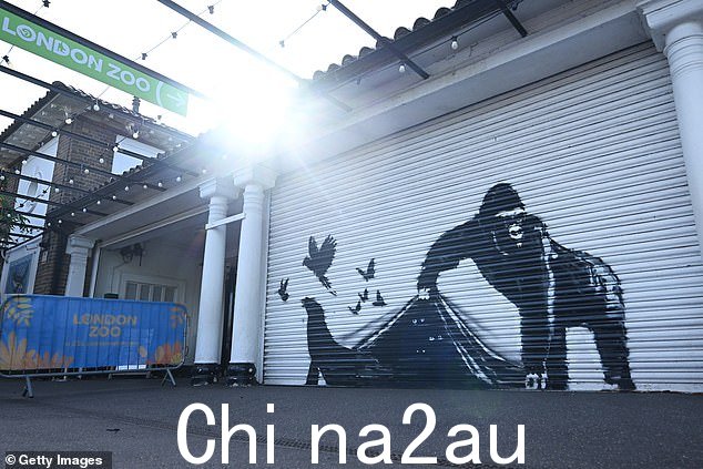 新的大猩猩壁画位于动物园入口处的百叶窗上