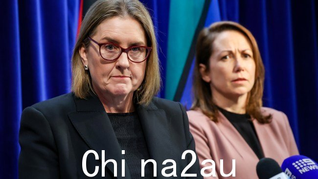 在工党的青少年犯罪法案一夜之间在州上议院获得通过后,维多利亚州政府被指控向青少年罪犯发放“无限制出狱卡”。图片:NewsWire/Ian Currie
