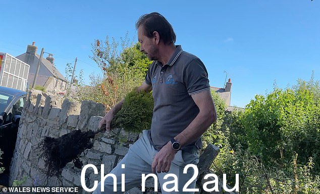尚不清楚周二行期间被连根拔起的植物发生了什么