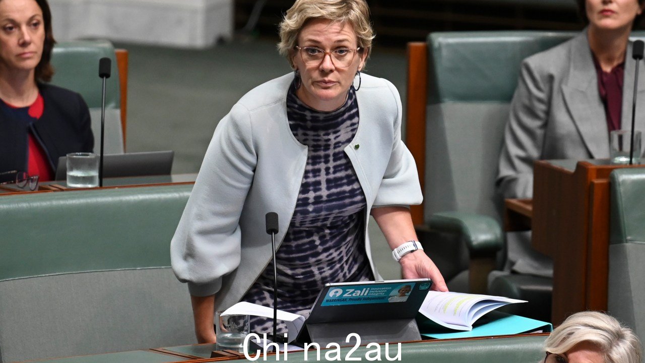 Zali Steggall 在议会发表的慷慨激昂的演讲中要求反对党领袖“停止种族主义”上周图片:NCA NewsWire / Martin Ollman