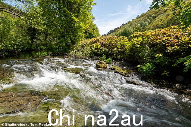 研究人员测试了 37 条河流的水样中的 54 种常见药物。每个地点采样两次,一次在夏季,一次在 2022 年冬季