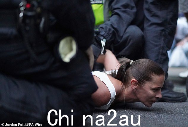 向内伦敦刑事法庭播放的镜头,显示她被戴上手铐倒在地上