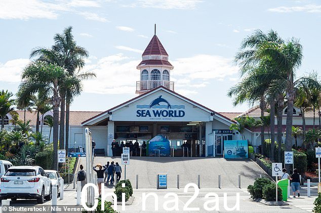 黄金海岸海洋世界利维坦过山车中救出数十人