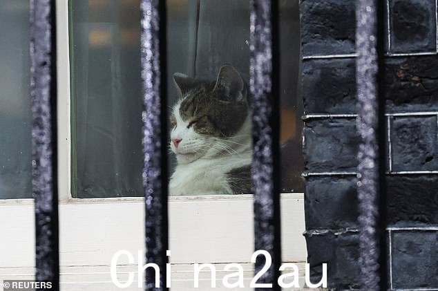 拉里在 7 月大选结果公布后,在唐宁街 10 号内向窗外看去