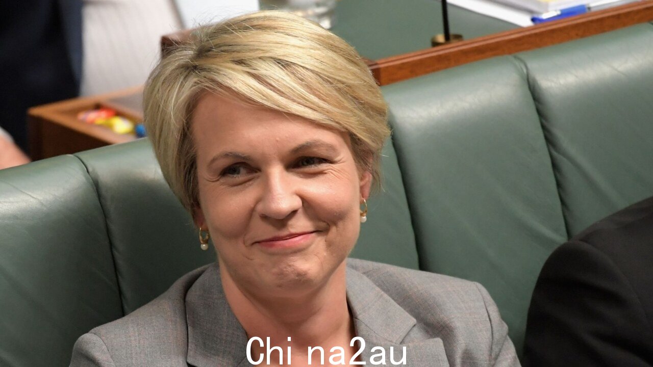 '我们都在关注她':Tanya Plibersek 否决了金矿以保住她的席位
