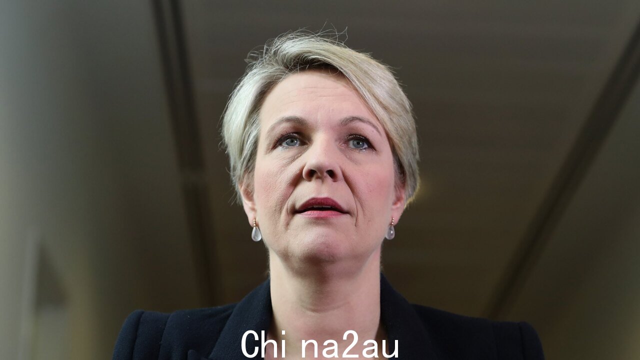 'Plibersek 必须是追究责任”:呼吁环境部长撤销” fetchpriority=