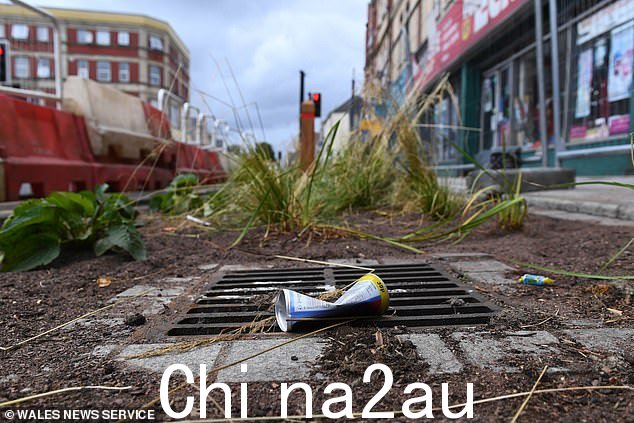 雨水花园是地面浅层区域,种植可以吸收水分的植物以帮助防止洪水