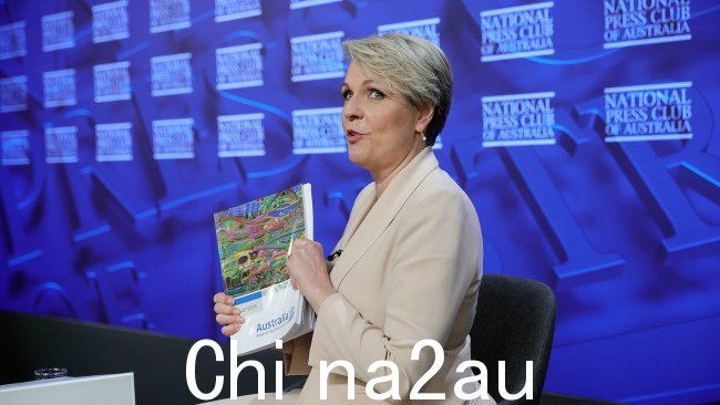 环境部长 Tanya Plibersek 尚未透露她决定禁止背后的文化传统瑞吉斯金矿项目。图片:NCA NewsWire / Gary Ramage