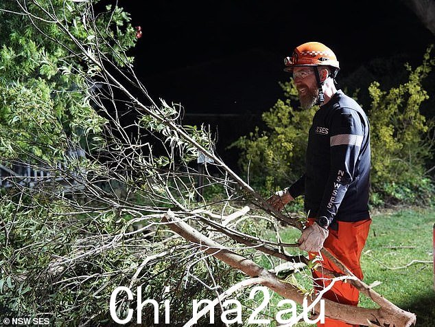 过去 24 小时内,由于恶劣天气继续造成严重破坏,多个州已接到超过 1,000 次紧急呼叫