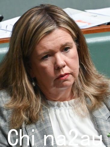 自由党议员布里奇特·阿彻 (Bridget Archer) 表示,阿尔巴尼亚政府“制造了一场原本没有争议的争议”。图片:NewsWire / Martin Ollman