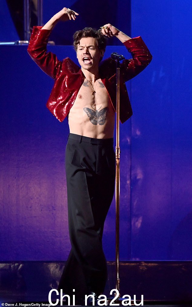 哈利·斯泰尔斯 (Harry Styles) 享受初吻的二级保护高架桥现已被围起来,以防止粉丝接触