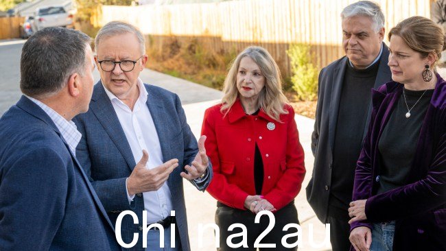 工党参议员 Helen Polley 表示推动阿尔巴尼亚政府在医疗保险中采用牙科保险。图片:NCA NewsWire/Rob Burnett