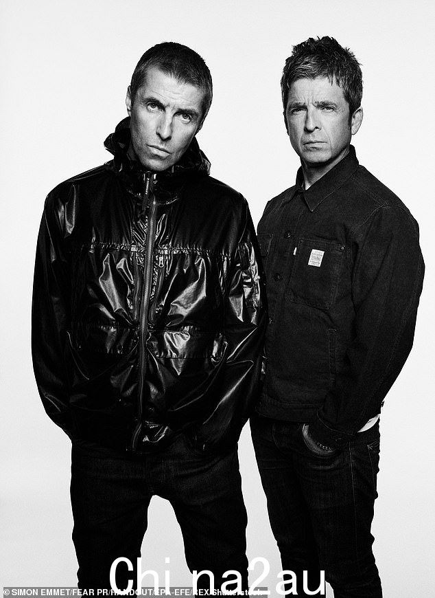 这位 56 岁的演员在 Noel 和 Liam Gallagher 宣布 Oasis 明年将进行巡演后,一条表情包迅速走红,粉丝们呼吁演员们重聚