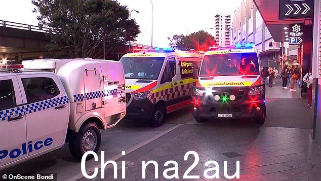 新南威尔士州警方发言人告诉澳大利亚《每日邮报》,警察正在将此事件视为自残案件(图为现场的警察和新南威尔士州救护人员)