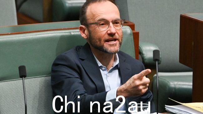 澳大利亚绿党领袖 Adam Bandt 表示,财政部长 Jim Chalmers 应该使用他非凡的否决权来反对澳大利亚央行。图片:NCA NewsWire / Martin Ollman