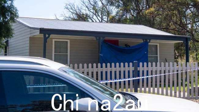 侦探们正在调查这些男孩在床上被刺之前是否被下药,据《每日电讯报》报道,警方正试图确定他们的死亡情况。图片:NewsWire