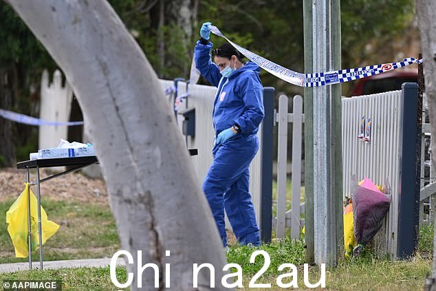当警方建立犯罪现场时,史密斯先生前往附近的斯普林伍德警察局协助凶杀案侦探进行调查