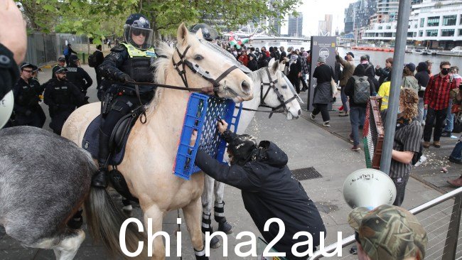 周三,南码头周围的抗议者袭击了警马。图片:David Crosling